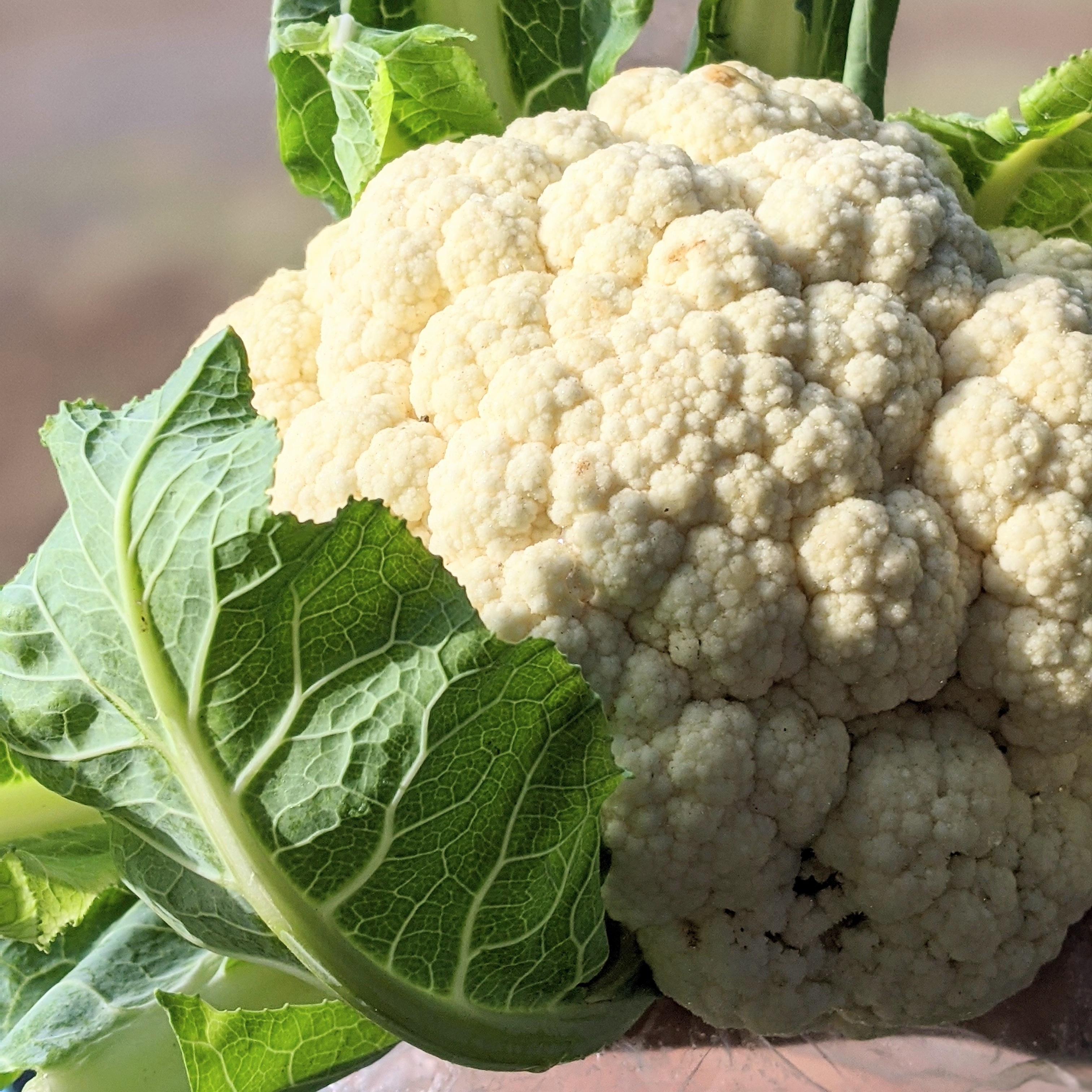 Cauliflower